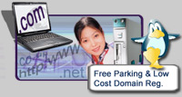 Free Parking and Low Cost Domain Registration